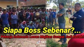 Pekerja Ladang Indonesia Tunjuk Belang – Siap Arah Majikan Ikut Cakap Dorang!