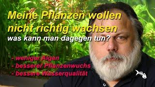 Meine Pflanzen wachsen nicht! Was tun gegen Pflanzenprobleme und gegen Algen im Aquarium? Grundlagen