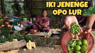 PERTAMA KALI MASAK LENCAK || DI TEMPAT KALIAN NAMAE APA LUR