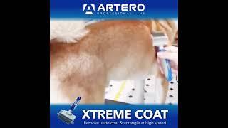 ARTERO Xtreme Coat Double 13-25 Teeth