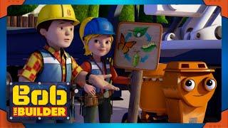 Bob the Builder | The Butterfly! | Full Episodes Compilation | Cartoons for Kids