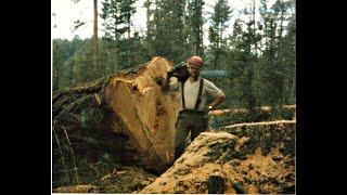 Logging in the 80s  in the Blue Mountains of Oregon