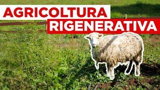 Cos’è l’agricoltura rigenerativa