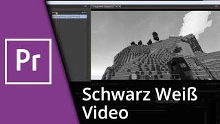 Schwarz Weiß Video mit Adobe Premiere + Übergangseffekt!  Tutorial
