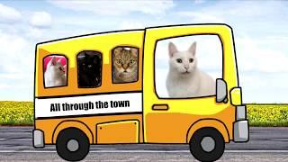 Wheels on the bus- Cats Version - Singing Cats