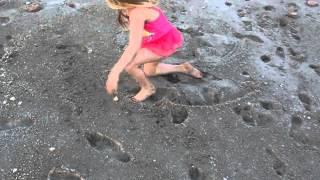 Claire Makes Sand Angels at the Florida Beach