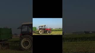 Już w następny piątek#2024 #oporowo #kiszonka #rolnictwo  #zetor #agriculture #ogień #koszenie