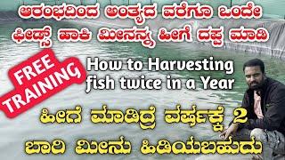 Fish farming|fond construction|seeds buy|fish buyback|murrel fish|maral fish|fish farming in kannada