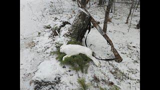 ВТОРОЙ-ПЕРВЫЙ СНЕГ! ТРОПЛЮ ЗАЙЦА В ОДНОГО!