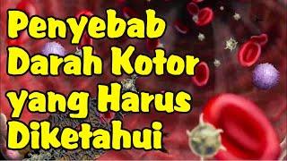 Penyebab Darah Kotor yang Harus Diketahui