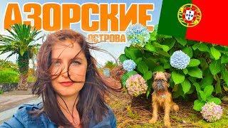 Азорские острова. Чем отличаются? Как они живут?