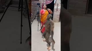 Monkey ka stand pe dance #trending #shorts #viral