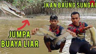 Jenguk Buaya dan Bubu Ikan Baung Sungai Pengkalan Berangan | Ayub Muhammad