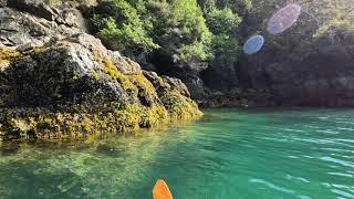 Tutka Bay, Kayaking Adventure 2022