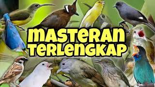 PALING GILA!! DIJAMIN MUNTAH MATERI !!! Masteran terlengkap dengan tembakan super pedass