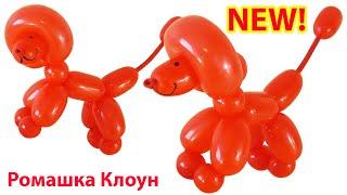 КАК СДЕЛАТЬ СОБАЧКУ ИЗ ДЛИННОГО ШАРИКА фигурки из шариков One Balloon Dog perrito con globos