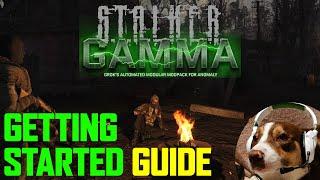 A Guide To Getting Started in Stalker G.A.M.M.A Mod Pack