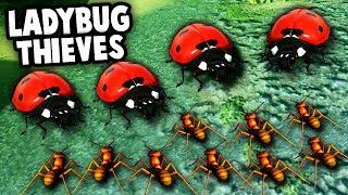 HUGE LADY BUGS vs ANT COLONY ARMY! (Empires of the Undergrowth Gameplay)