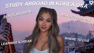 Study Abroad in Korea Q&A - Scholarships, Making Friends, Language Barrier,  Part Time Jobs