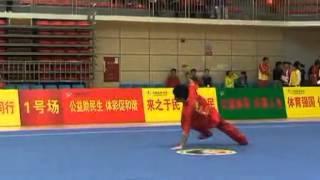 Jiujiebian / Chain Whip - 2014 China Traditional Wushu Nationals