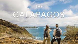 What makes the Galápagos so special | Postcards from Ecuador - Episode 1