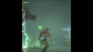 BOTW funny shorts clips | clips by @LynzArts #botw #funnymoments