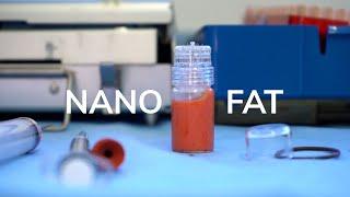 What is Nano Fat? Dr. Kami Parsa Explains