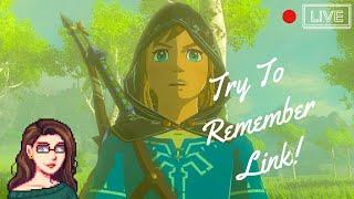 Finding Link's Memories | Breath of the Wild Stream #13