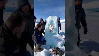 Frozen Creatures Found in Antarctica?! The Truth Will Shock You!  #shorts