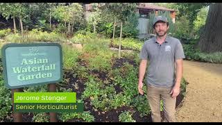 Elephant Trek Horticulture Walk-through - Cincinnati Zoo