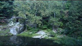 Toni On! New York: Touring Manitoga