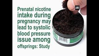 Prenatal nicotine intake during pregnancy may lead to systolic blood pressure issue among offsprings
