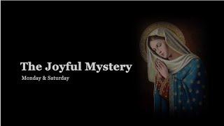 The Holy Rosary: Joyful Mysteries with Litany  (Monday & Saturday)