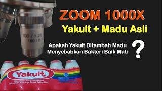 Zoom 1000X : Yakult VS madu dilihat dengan mikroskop