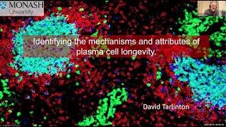 "Identifying the mechanisms and attributes of plasma cell longevity" by Dr. David Tarlinton