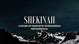 PRAYING INSTRUMENTAL - SHEKINAH (By Joel Tay)