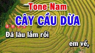 Karaoke Cây Cầu Dừa Tone Nam Nhạc Sống | Hiếu Trình Organ