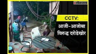 CCTV: Elderly couple fights back armed robbers