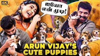 Arun Vijay's 1st Ever Puppy Dogs Interview Puppies கிட்ட கடி வாங்கிட்டே Full Show போயிருச்சே