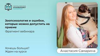 Фрагмент вебинара "Зоопсихология и ошибки, которые можно допустить на приеме" с Анастасией Самариной