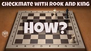 How To Checkmate With Rook and King | 3D Chess Tutorial