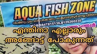 ഞങ്ങളും അങ്ങോട്ട് പോയി ഗയ്‌സ് ️ #ytvideo #aquafish #guppy #guppyfish #guppyfishfarming