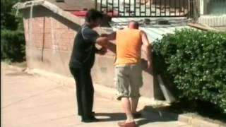 yin fu snake baguazhang 2007 2008