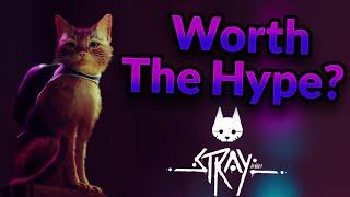 An Honest Stray Review