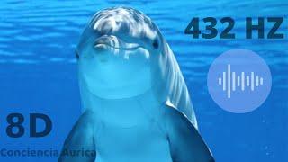 El Canto de los Delfines en 8D. Sube tu frecuencia!  (Dolphin Singing, Healing 8D)