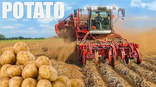 Potato Farming & Processing - Start to Finish