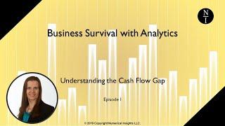 How to Manage Your Cash Flow: Understanding the Cash Flow Gap and Risk (Business Analysis)