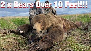 S20Ep6: Self-Guided 2 Monster Alaskan Brown Bears Over 10 Feet!!!