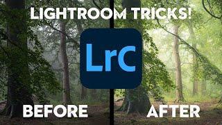 Simple LIGHTROOM TRICKS to create PAINTERLY PHOTOS