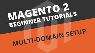 How to setup Multiple Domains in a Multi-Store Setup - Magento 2 Tutorial
